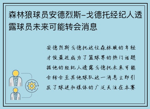 森林狼球员安德烈斯-戈德托经纪人透露球员未来可能转会消息